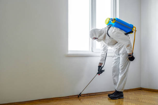 Best Termite Inspection and Treatment  in West View, PA